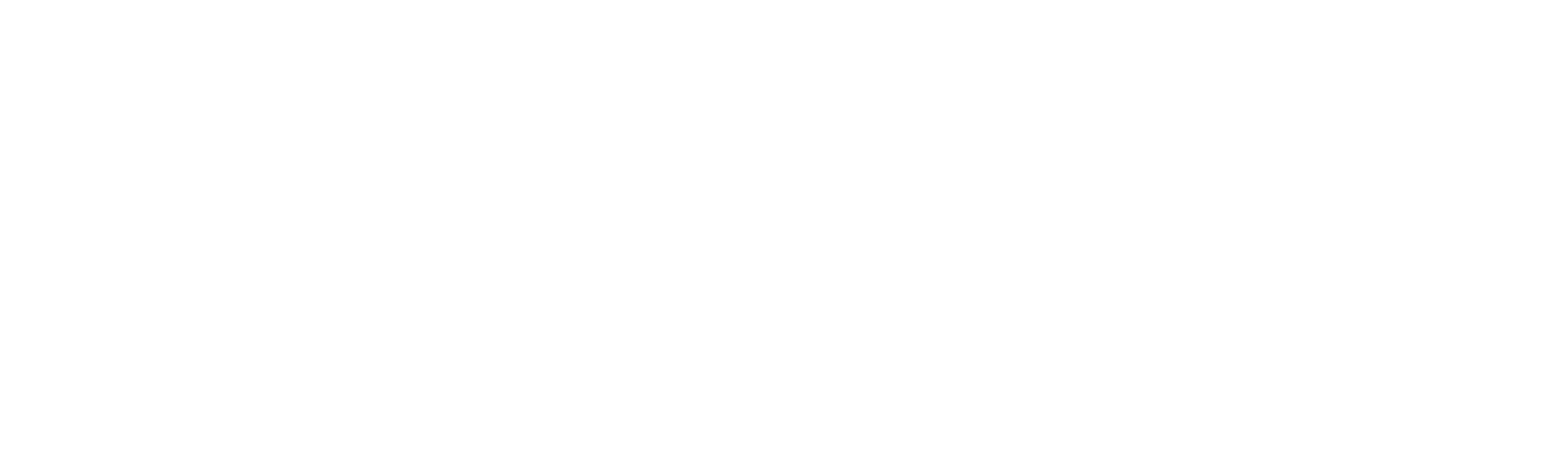 Network Yacht Brokers Logo